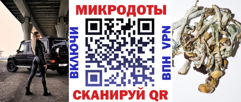 mega сайт  Георгиевск  Псилоцибиновые грибы Cubensis 